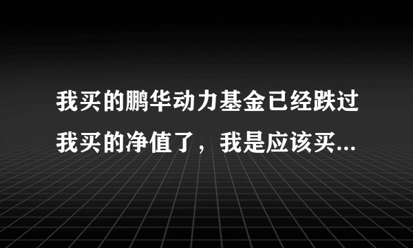 我买的鹏华动力基金已经跌过我买的净值了，我是应该买还是停止啊