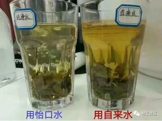 自来水不敢直接喝的举手！