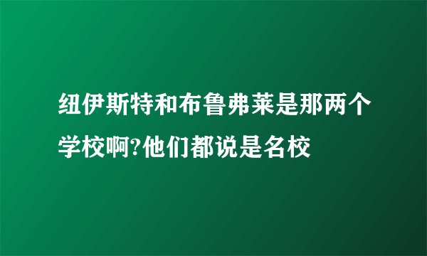 纽伊斯特和布鲁弗莱是那两个学校啊?他们都说是名校
