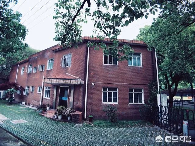 苏州大学最好的专业是哪个？