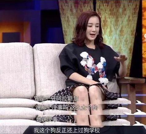 被狗毁掉星途的演员：李依晓没获得一句道歉，为何还要被骂整容脸？
