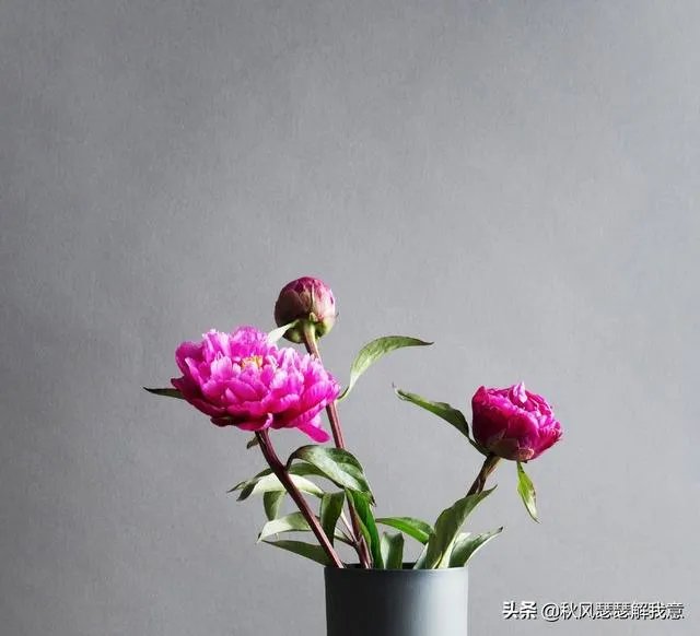 二婚能幸福吗?为什么?