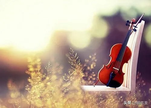 张可儿有什么好听的音乐吗？