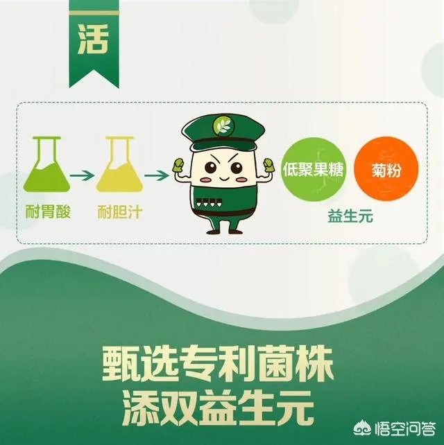 你们买益生菌的话都是买什么品牌的？