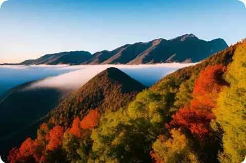 神奇宝贝AG小智分别是在哪几集收服的精灵