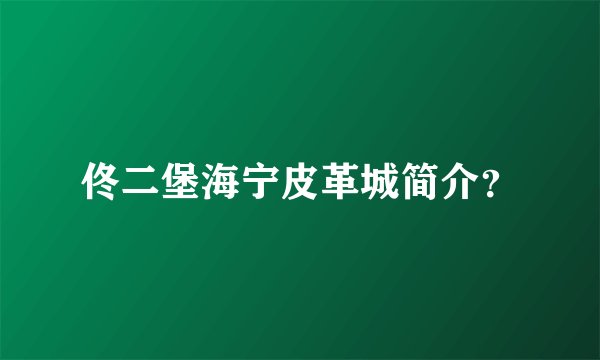 佟二堡海宁皮革城简介？
