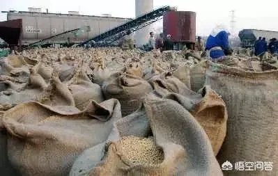 2018年黑龙江的大豆收购价格怎么样？