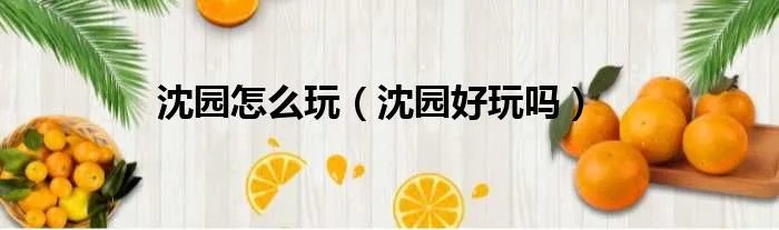 沈园怎么玩（沈园好玩吗）