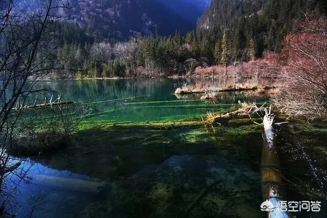 八九月份适合去哪里旅游？