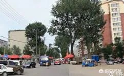 耒阳社区纸都在线？