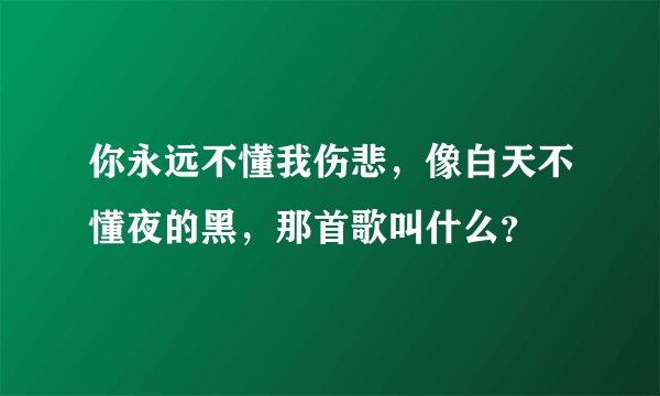 你永远不懂我伤悲，像白天不懂夜的黑，那首歌叫什么？