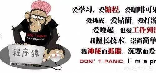 为什么好多社会Java培训机构招聘员工对自己培训出来的学员不感兴趣？