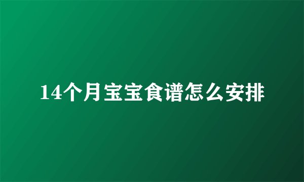 14个月宝宝食谱怎么安排