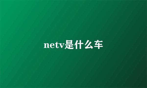 netv是什么车