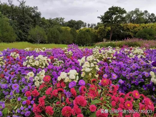 承德避暑山庄好玩吗？值得一去不？