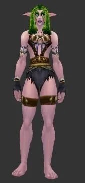 魔兽世界好看的皮甲幻化