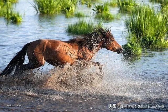 尼康d300s怎么样？