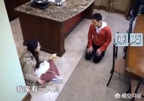 如何看待向佐和郭碧婷的恋情，你觉得他们般配吗？
