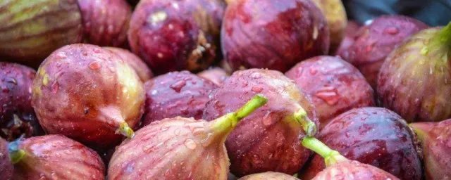 无花果为啥叫无花果 叫无花果的原因