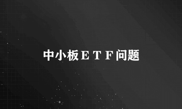 中小板ＥＴＦ问题