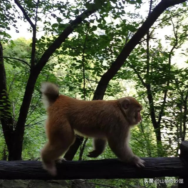 旅行途中你都见过哪些罕见的风景？