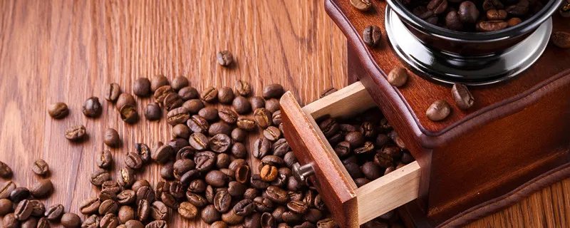 WELHOME是哪个国家的品牌 WELHOME哪里的牌子