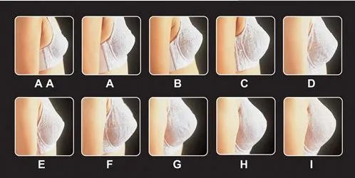 d罩杯多大图片欣赏：d罩杯摸着什么感觉?（图）