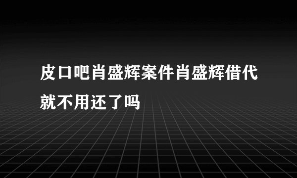 皮口吧肖盛辉案件肖盛辉借代就不用还了吗