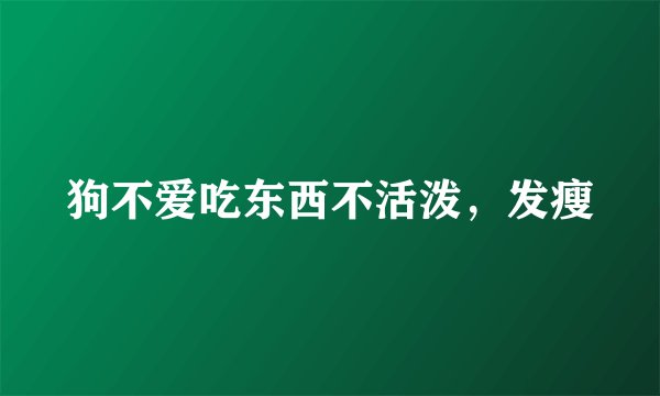 狗不爱吃东西不活泼，发瘦