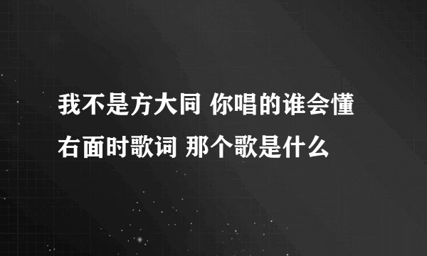 我不是方大同 你唱的谁会懂 右面时歌词 那个歌是什么