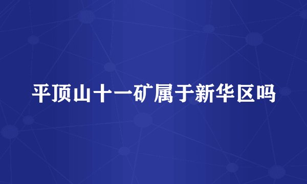 平顶山十一矿属于新华区吗
