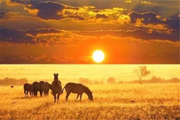 埃及开罗有战乱吗