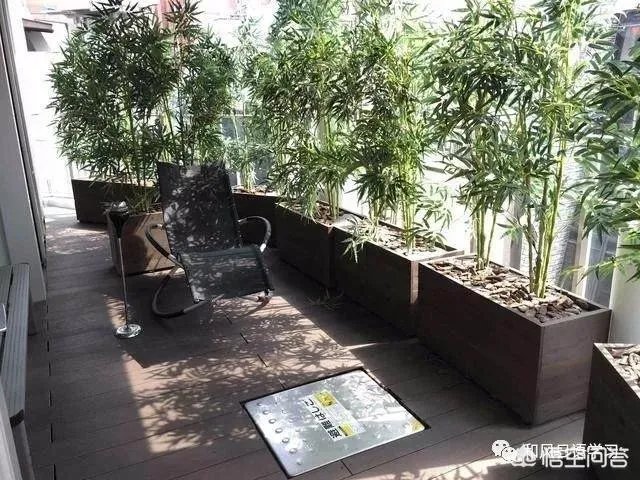 日本酒店的服务怎么样？