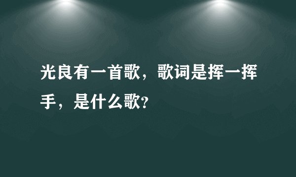光良有一首歌，歌词是挥一挥手，是什么歌？