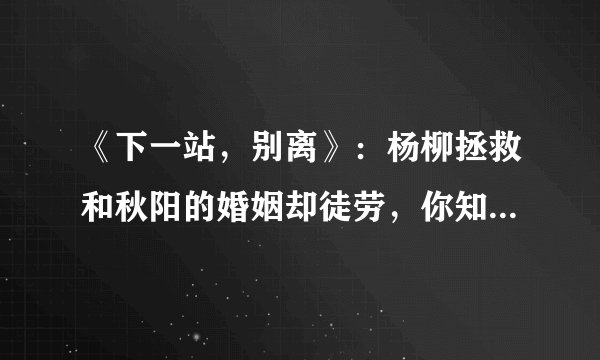 《下一站，别离》：杨柳拯救和秋阳的婚姻却徒劳，你知道为什么吗