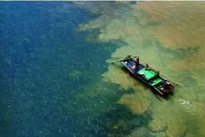 即墨海参违规养殖3人被控制