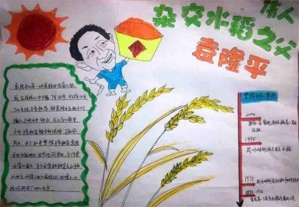 袁隆平手抄报图片大全简单漂亮