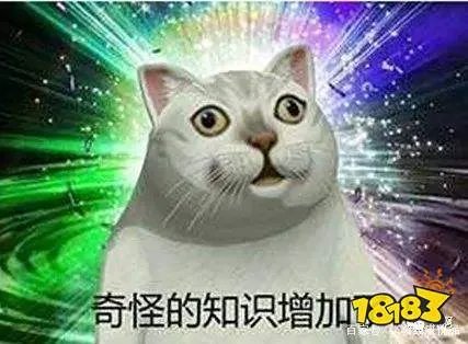 “lsp”是什么梗