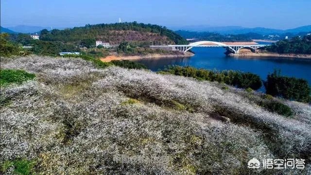 从化位于广东哪里？