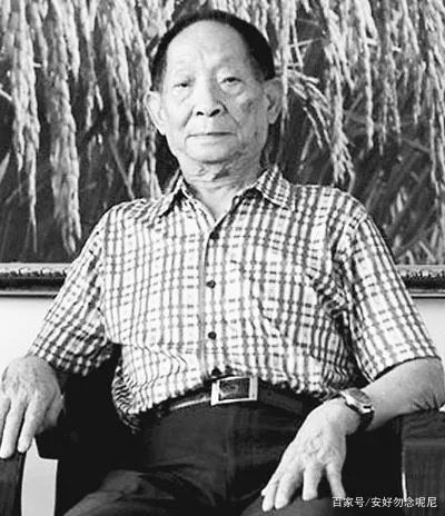 袁隆平最后的时光:病危之际,还关心稻子长势,你怎么看?