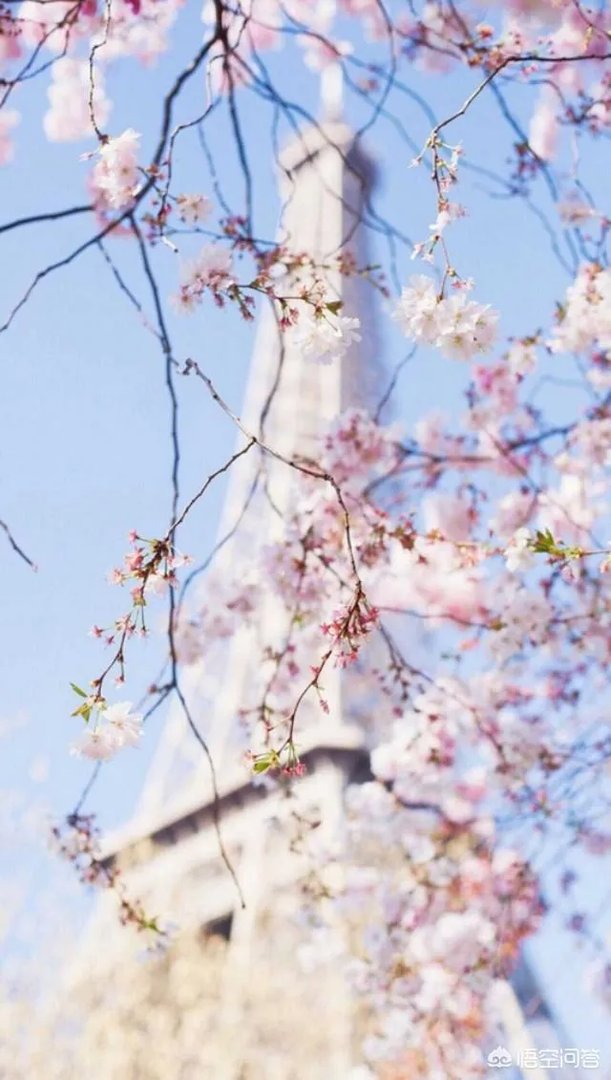 有没有粉色系头像？