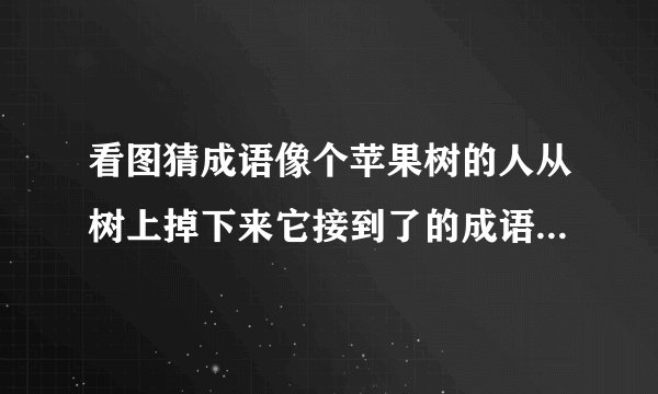 看图猜成语像个苹果树的人从树上掉下来它接到了的成语是什么啊