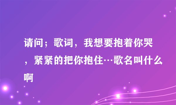请问；歌词，我想要抱着你哭，紧紧的把你抱住…歌名叫什么啊