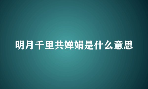 明月千里共婵娟是什么意思