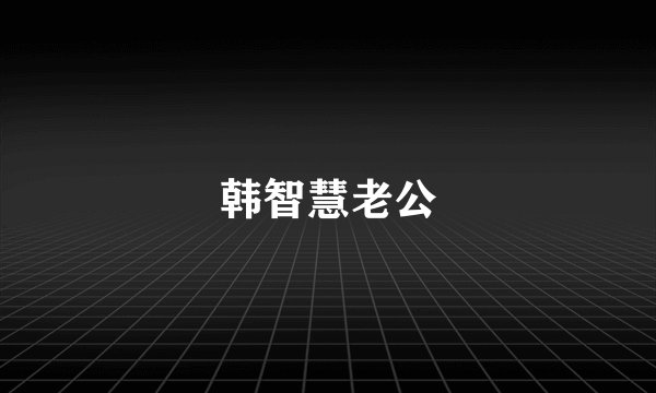 韩智慧老公