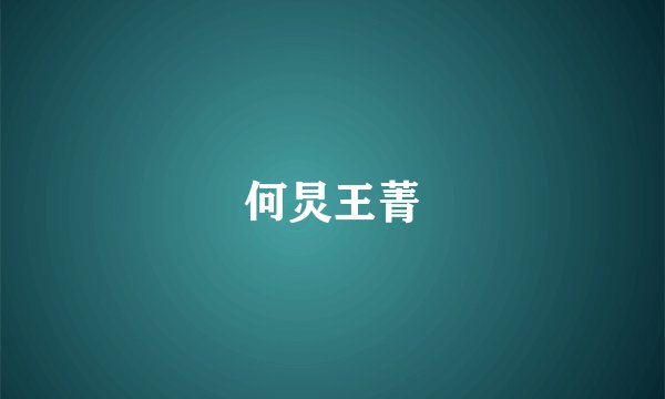何炅王菁