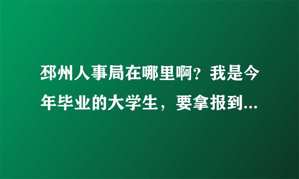 邳州人事局在哪里啊？我是今年毕业的大学生，要拿报到证去报到，邳州人事局具体地址在哪？就是交档案的地方