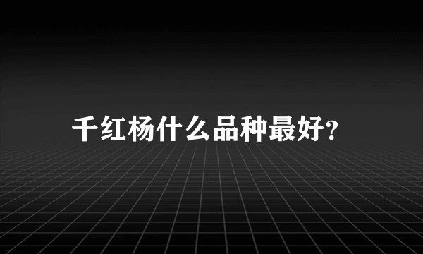 千红杨什么品种最好？