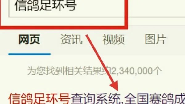 免费查询信鸽足环号