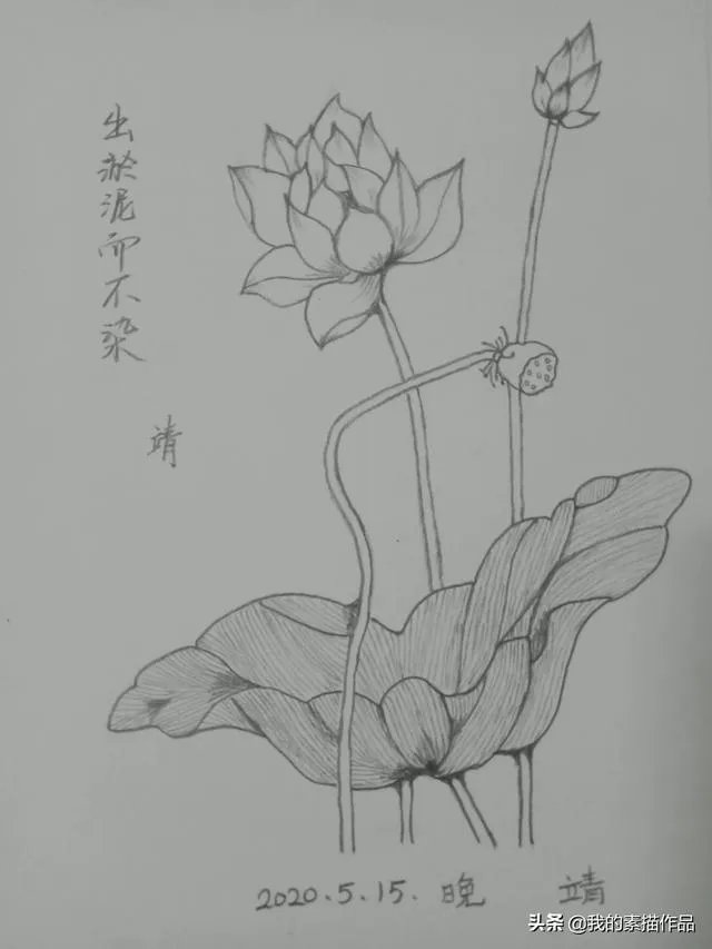 想自学绘画,请问要怎么做?